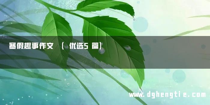 寒假趣事作文 (优选5篇)